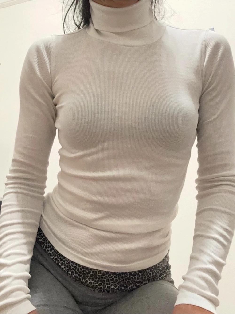 Everlane The Pima Micro-Rib Turtleneck White XXS